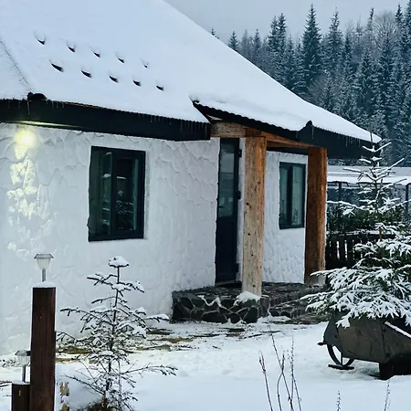 Villa Lileya Polyanitsa Popovichevskaya