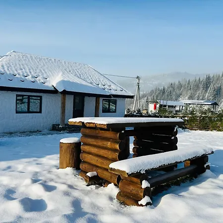 Lileya Polyanitsa Popovichevskaya