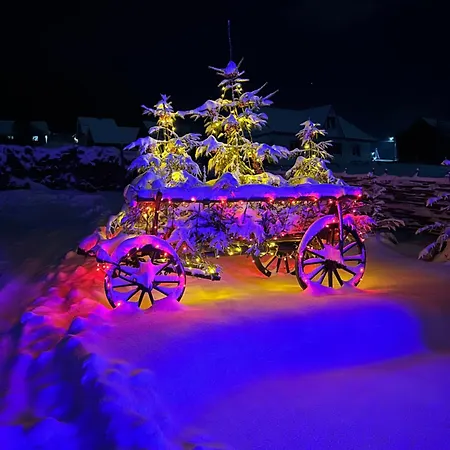 Villa Lileya Polyanitsa Popovichevskaya