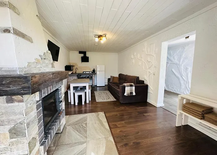 Lileya Villa Polyanitsa Popovichevskaya