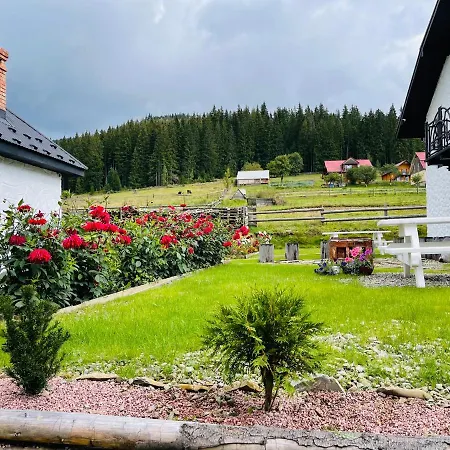 Villa Lileya Polyanitsa Popovichevskaya