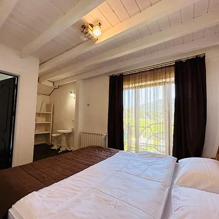 Villa Lileya Polyanitsa Popovichevskaya