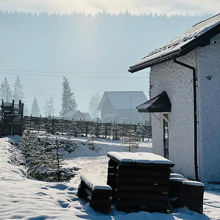 Villa Lileya Polyanitsa Popovichevskaya