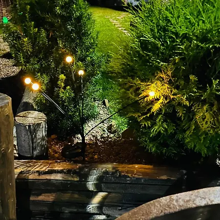 Villa Lileya Polyanitsa Popovichevskaya